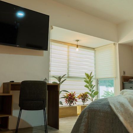 Reforma - Suite 4 De Lujo En Naploes Cama Queen Size Мехіко Екстер'єр фото
